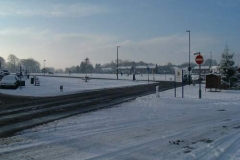 green_snow
